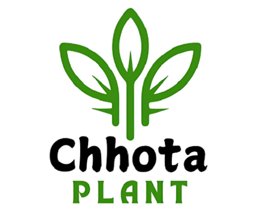 chhotaplant.in