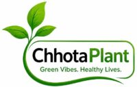 chhotaplant